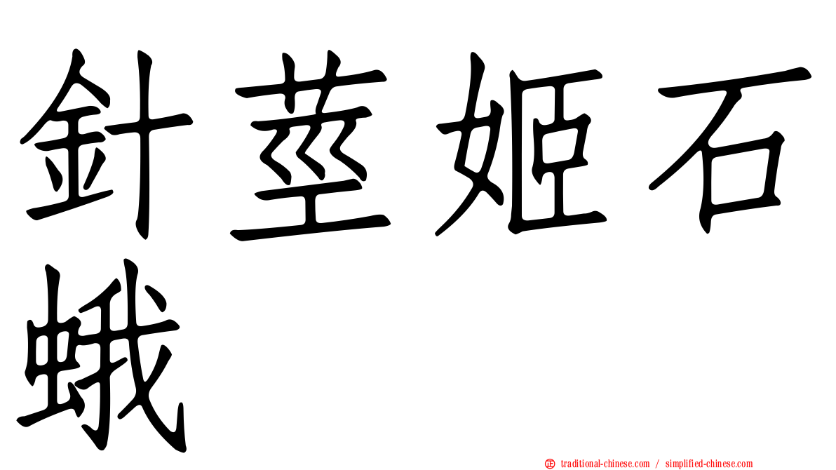 針莖姬石蛾