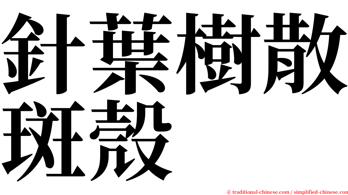 針葉樹散斑殼 serif font
