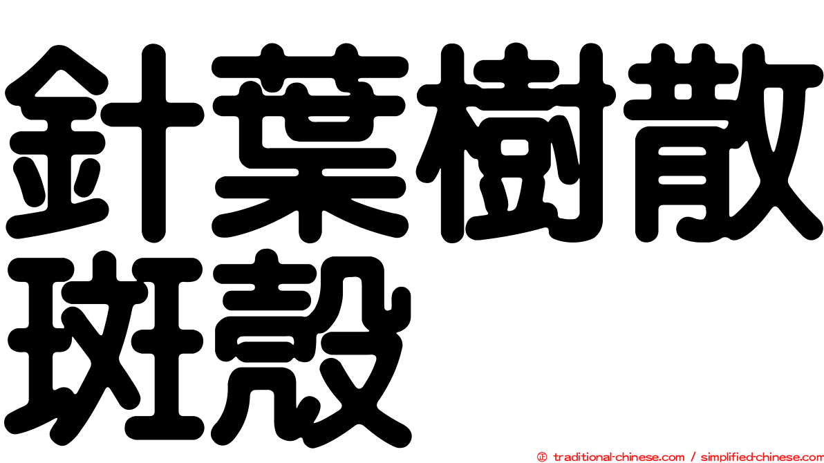 針葉樹散斑殼