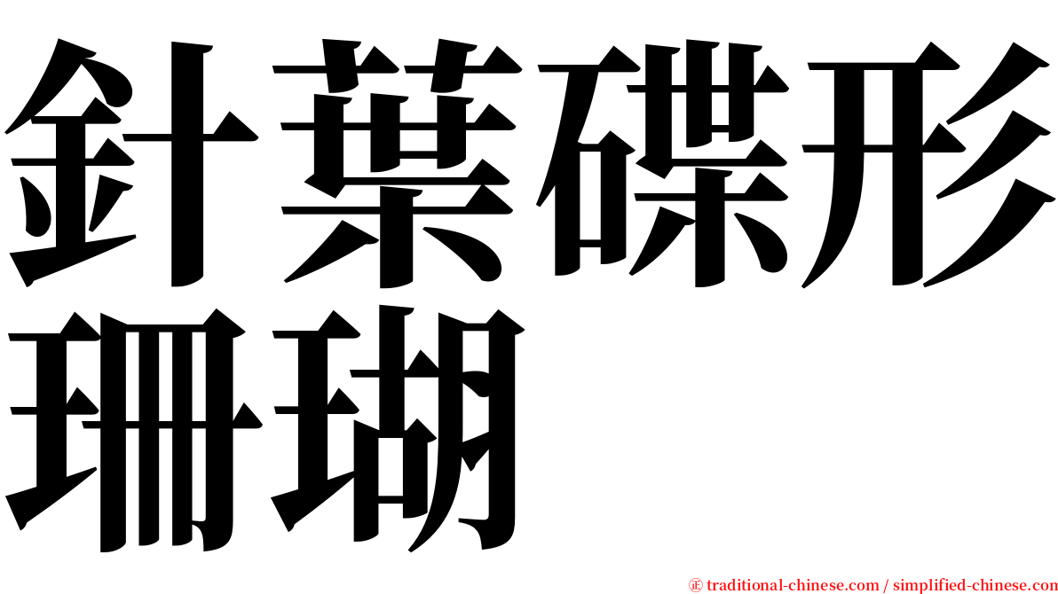 針葉碟形珊瑚 serif font