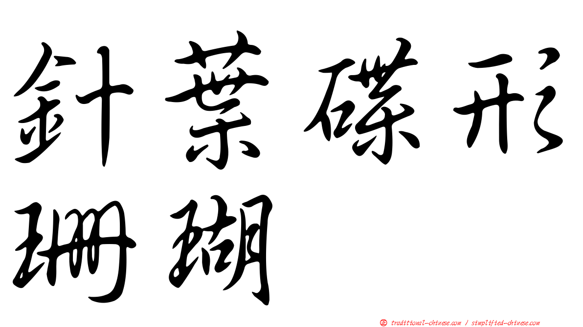 針葉碟形珊瑚