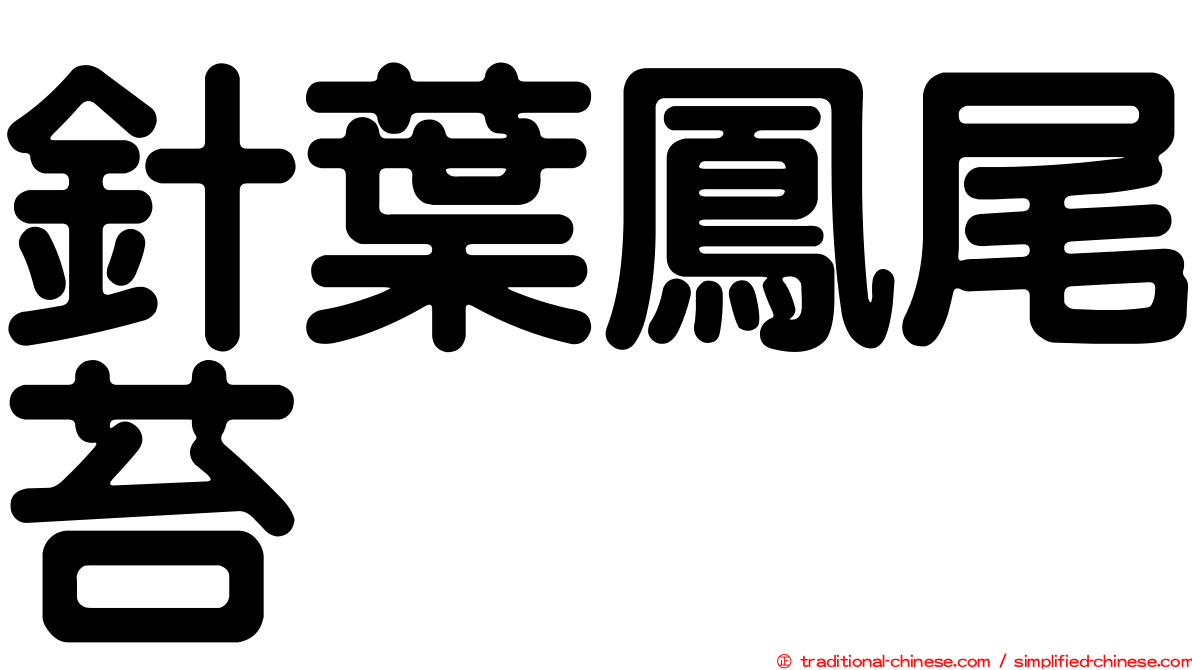 針葉鳳尾苔