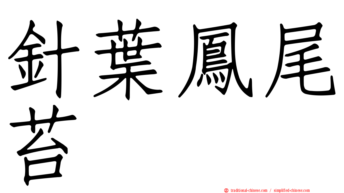 針葉鳳尾苔