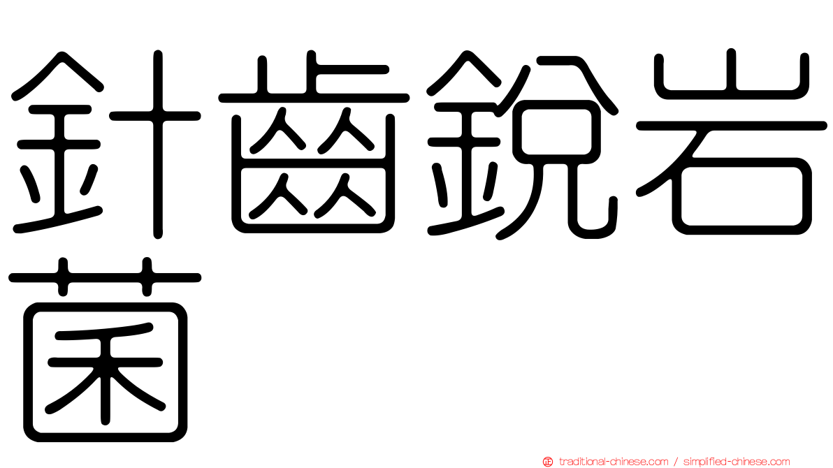 針齒銳岩菌