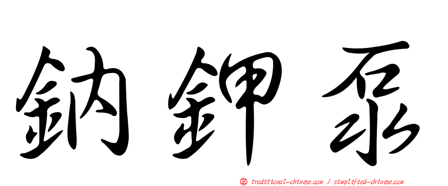 鈉鉀泵