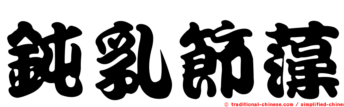 鈍乳節藻