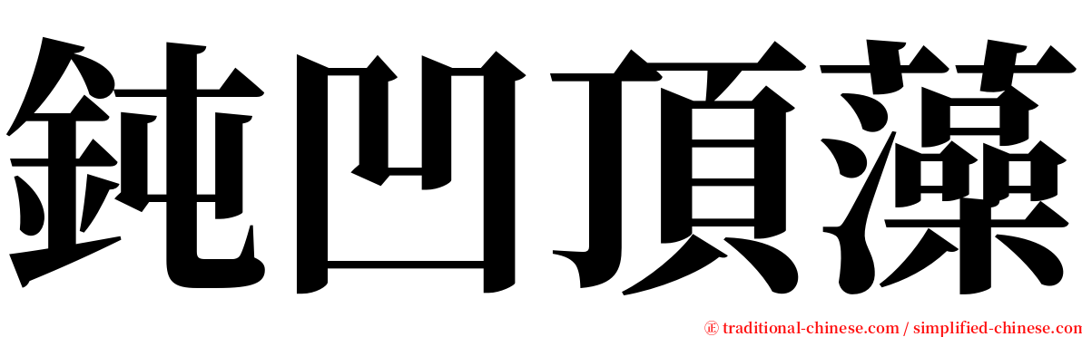 鈍凹頂藻 serif font