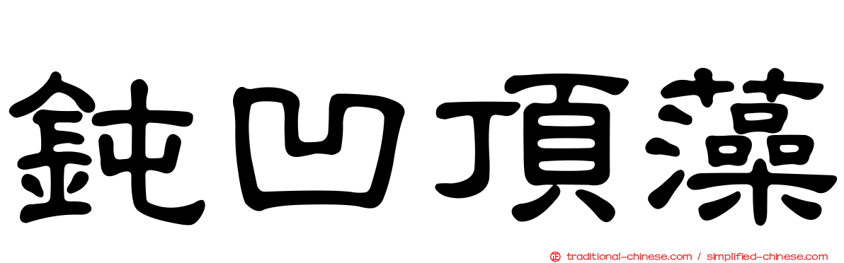 鈍凹頂藻