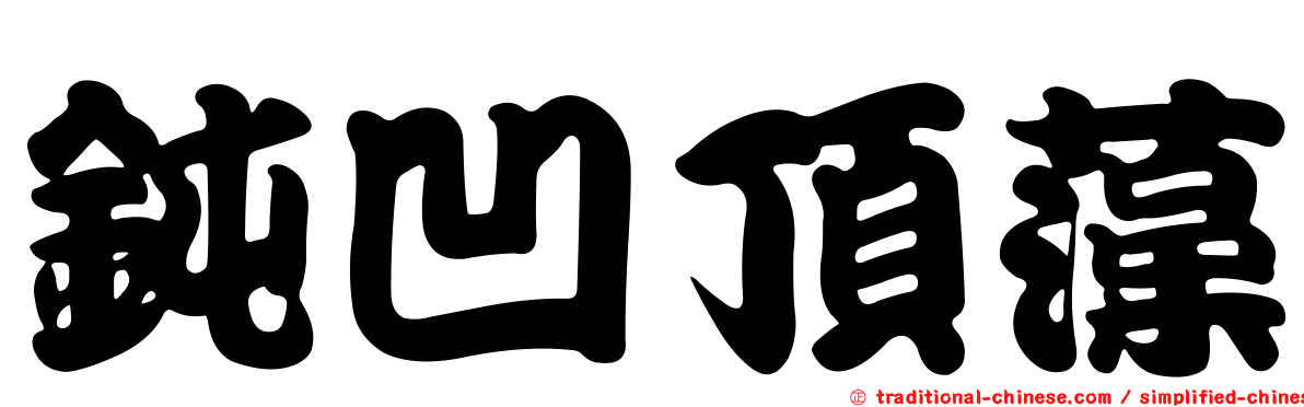 鈍凹頂藻