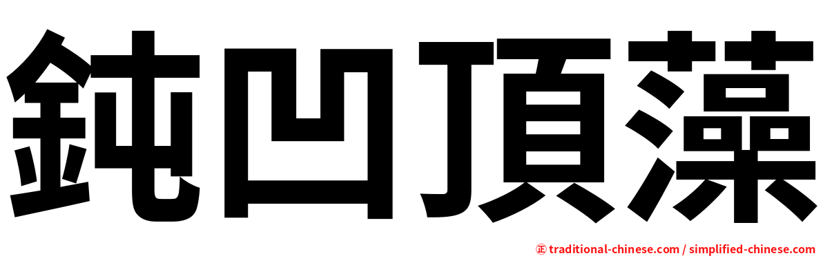 鈍凹頂藻