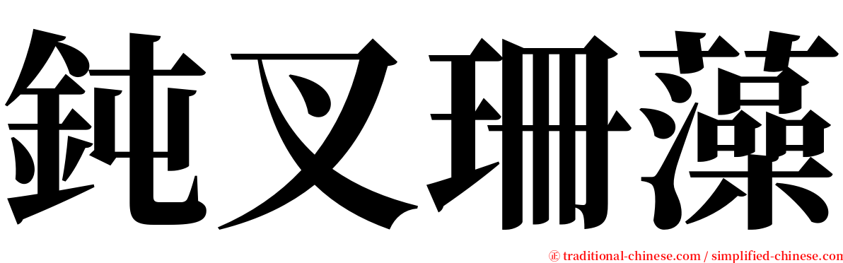 鈍叉珊藻 serif font