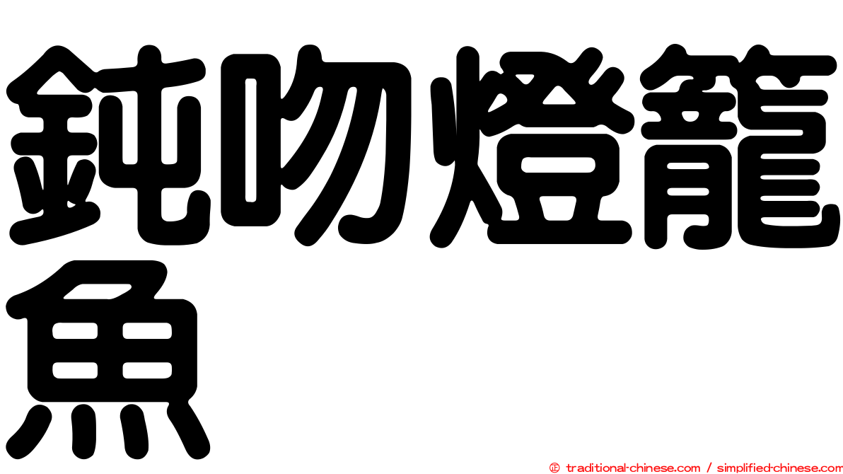 鈍吻燈籠魚