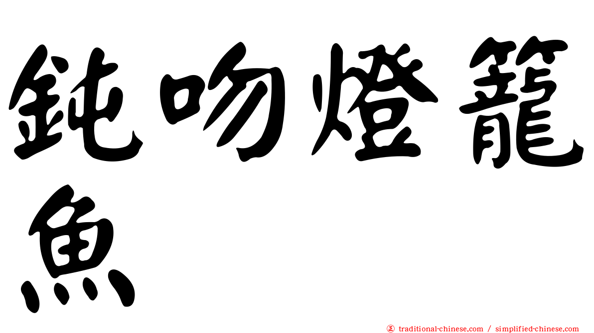 鈍吻燈籠魚