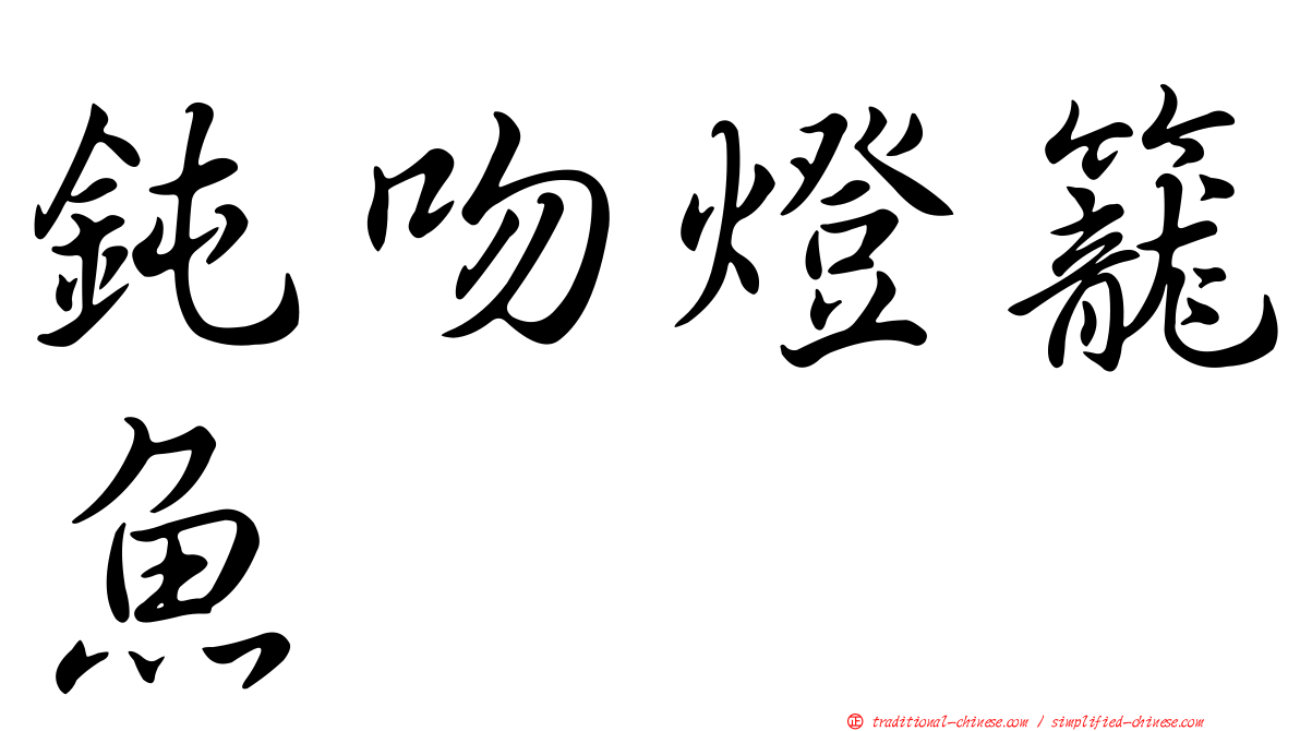 鈍吻燈籠魚