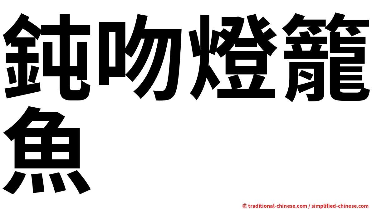 鈍吻燈籠魚