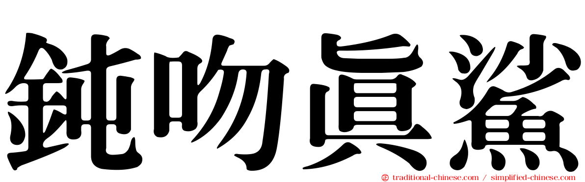 鈍吻真鯊