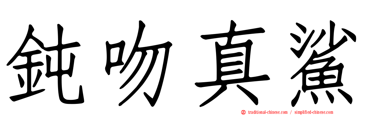 鈍吻真鯊