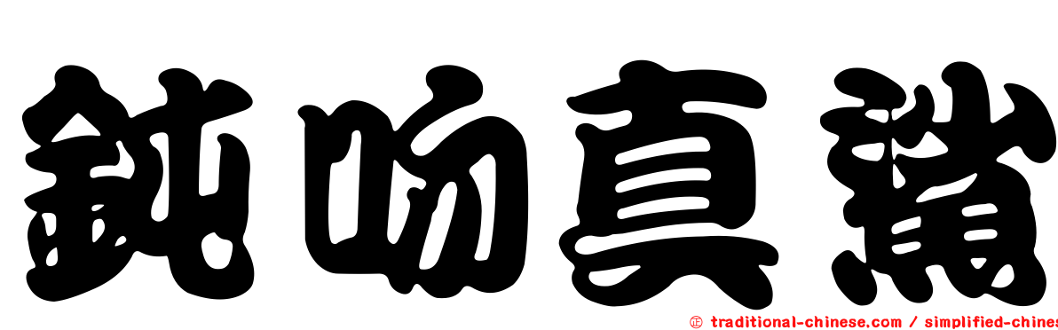 鈍吻真鯊