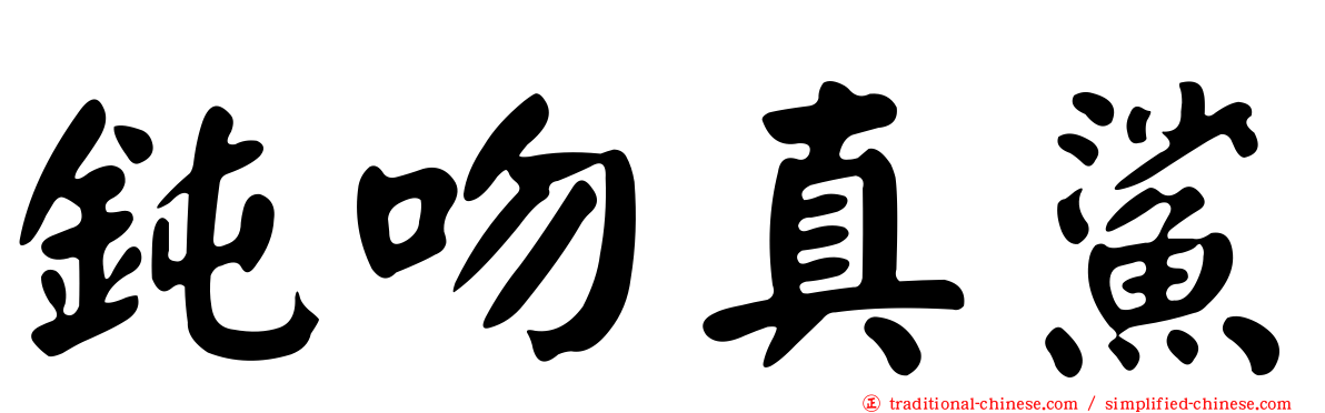 鈍吻真鯊