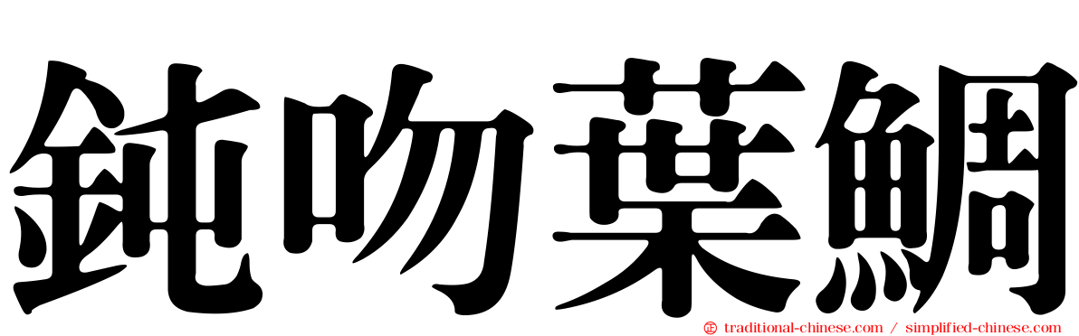鈍吻葉鯛