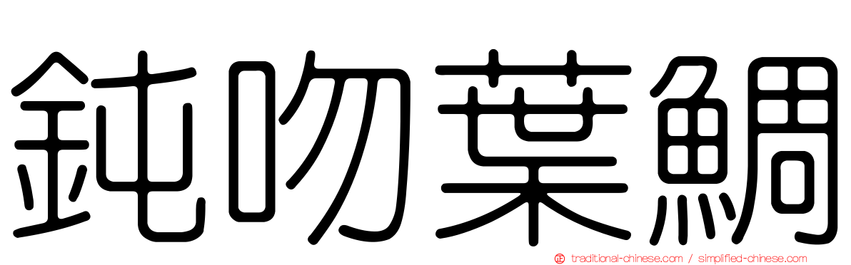 鈍吻葉鯛