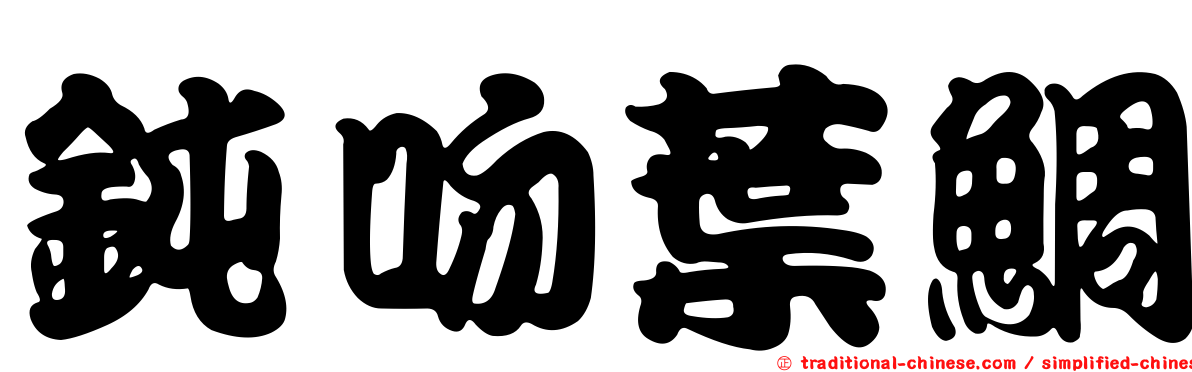 鈍吻葉鯛
