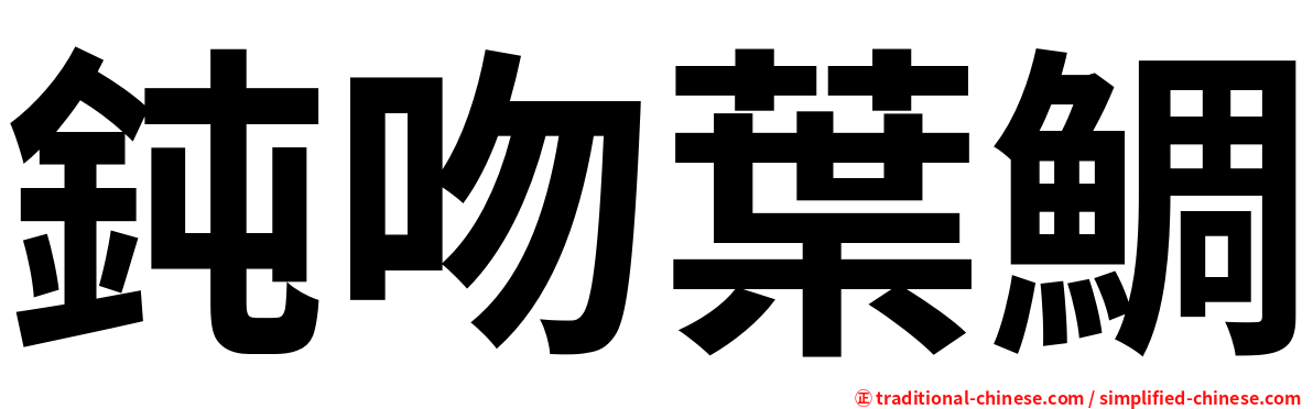鈍吻葉鯛