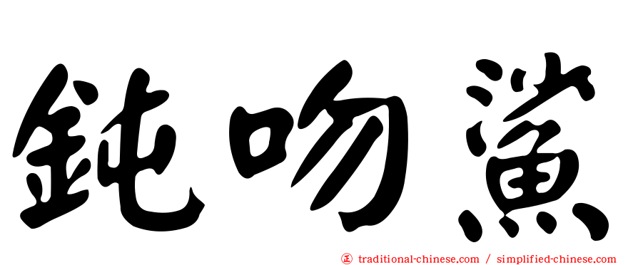 鈍吻鯊