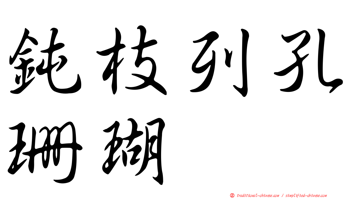 鈍枝列孔珊瑚