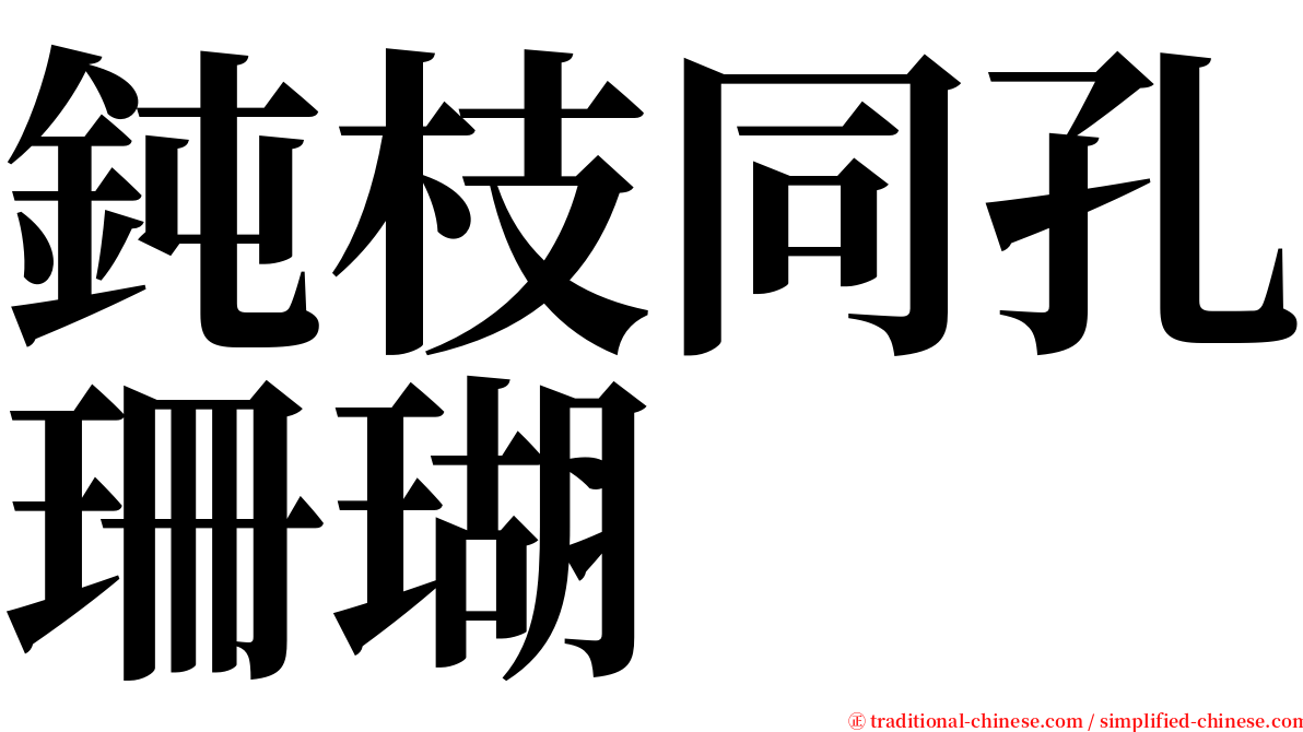 鈍枝同孔珊瑚 serif font