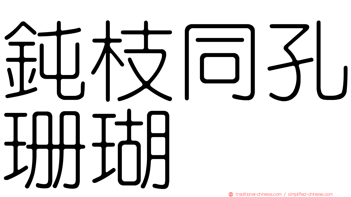鈍枝同孔珊瑚