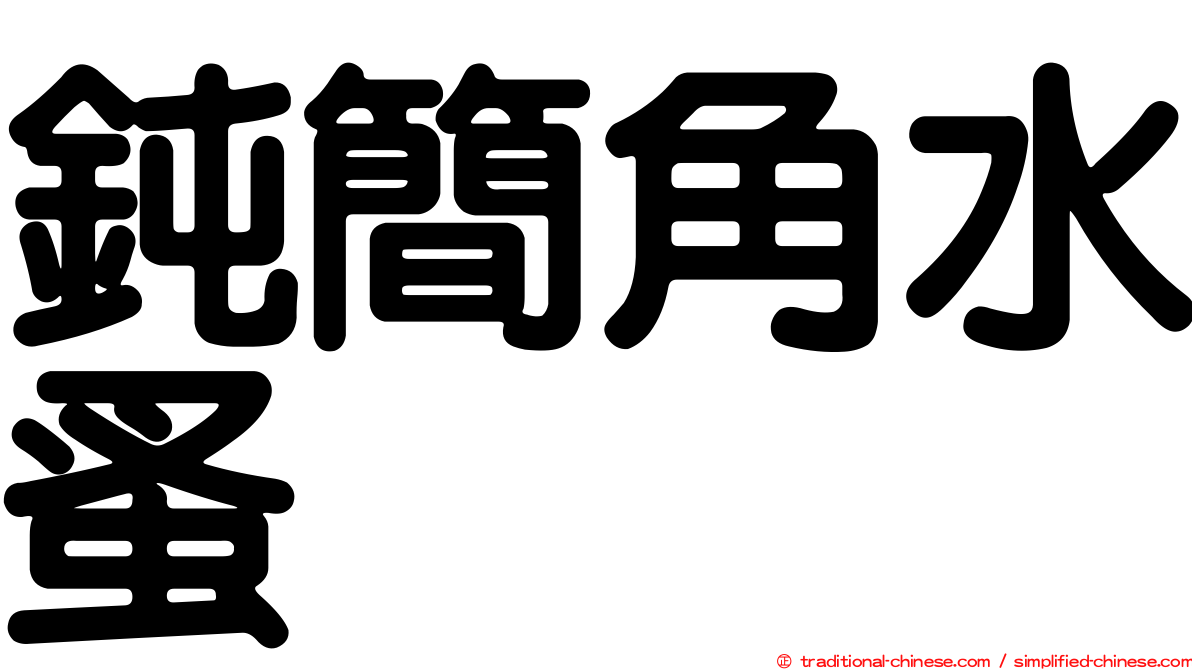 鈍簡角水蚤