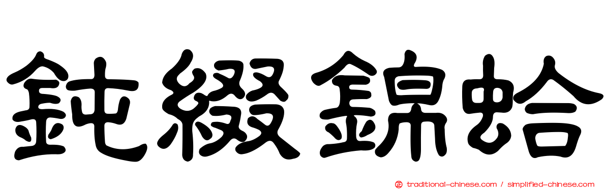 鈍綴錦蛤