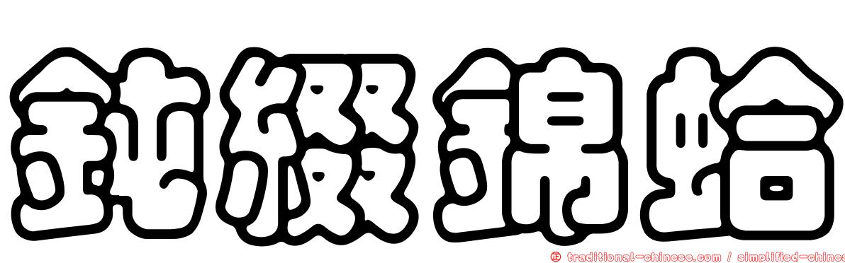 鈍綴錦蛤