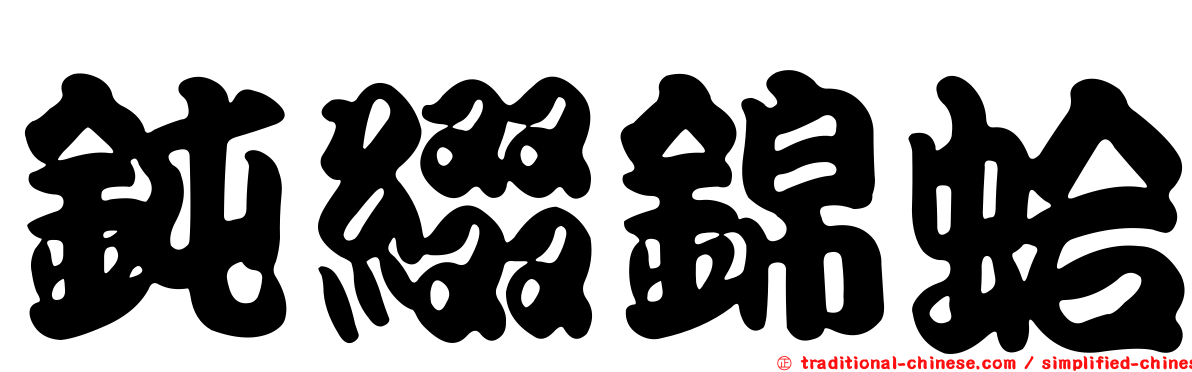 鈍綴錦蛤