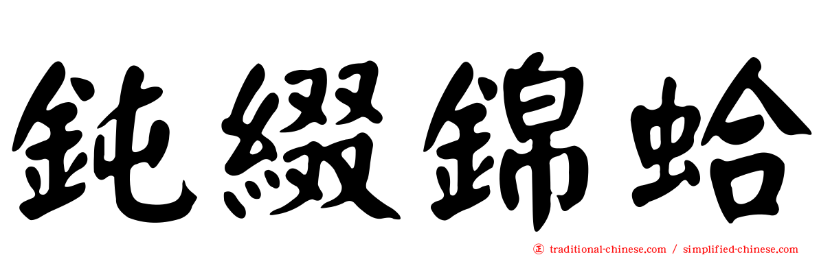 鈍綴錦蛤