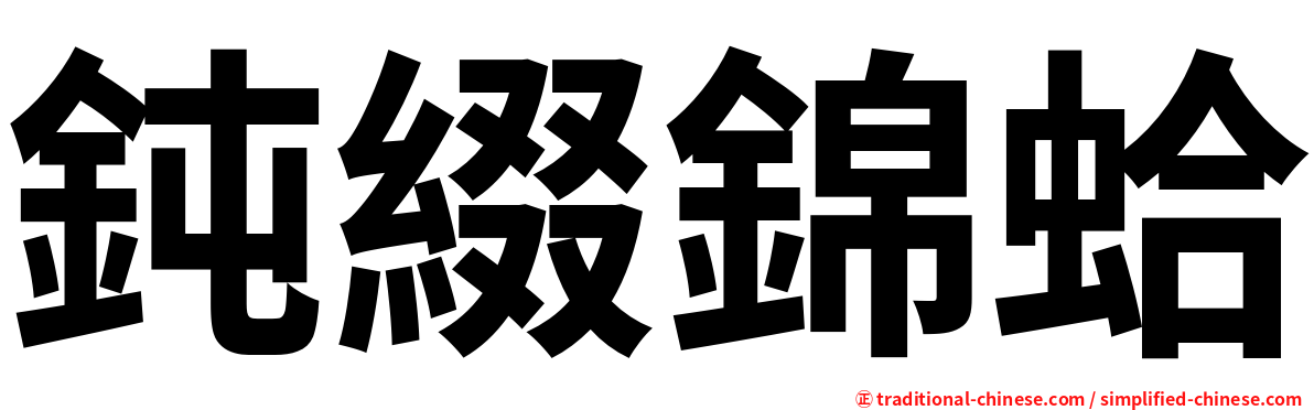 鈍綴錦蛤
