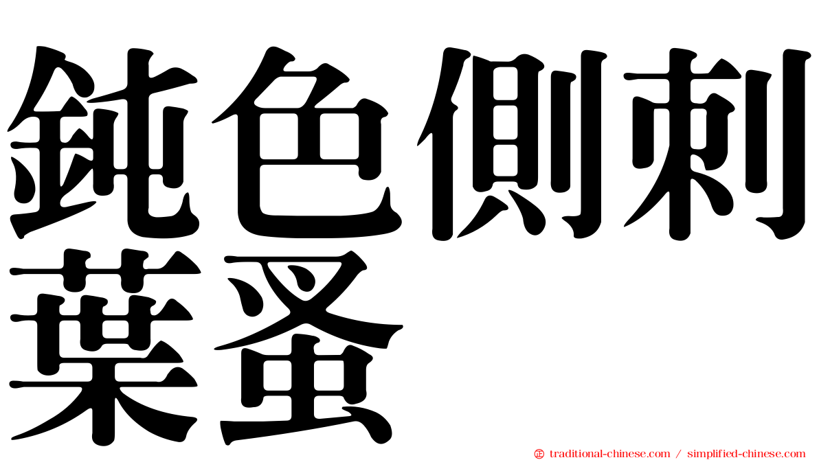 鈍色側刺葉蚤
