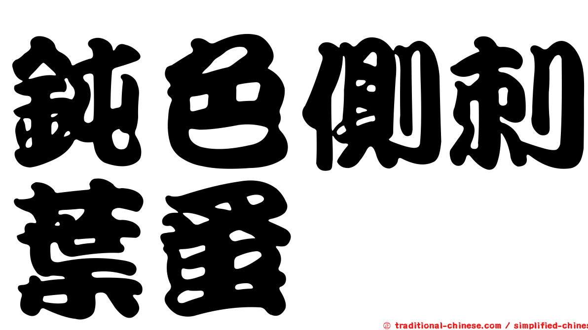 鈍色側刺葉蚤