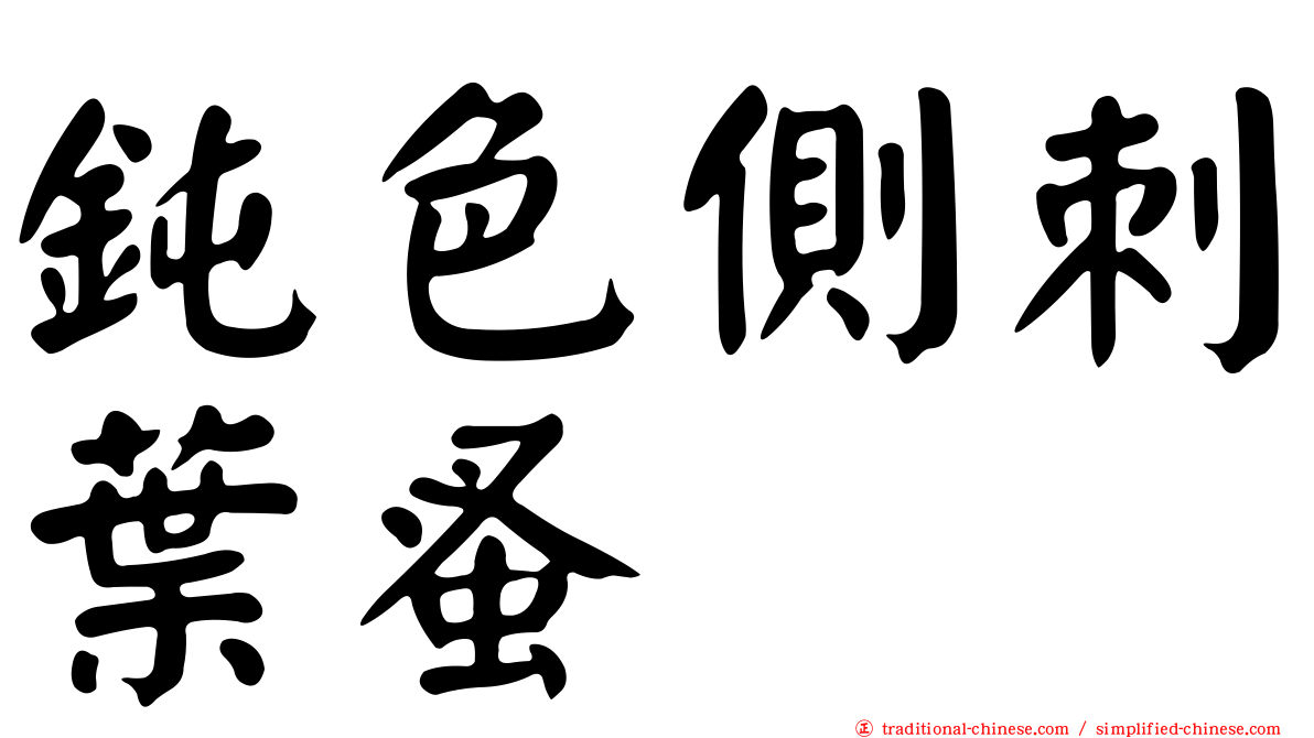 鈍色側刺葉蚤