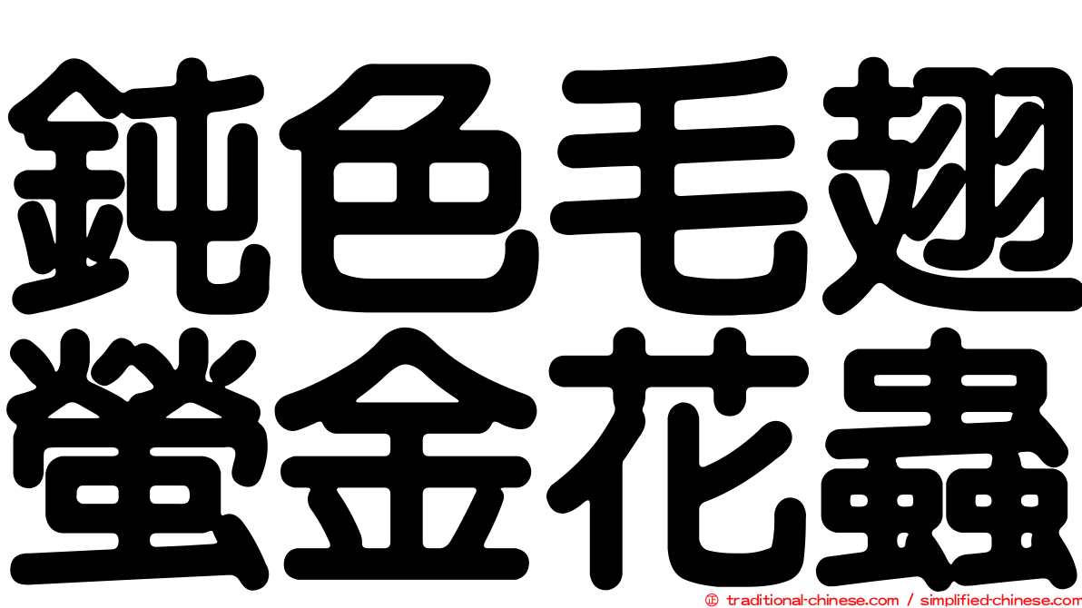 鈍色毛翅螢金花蟲