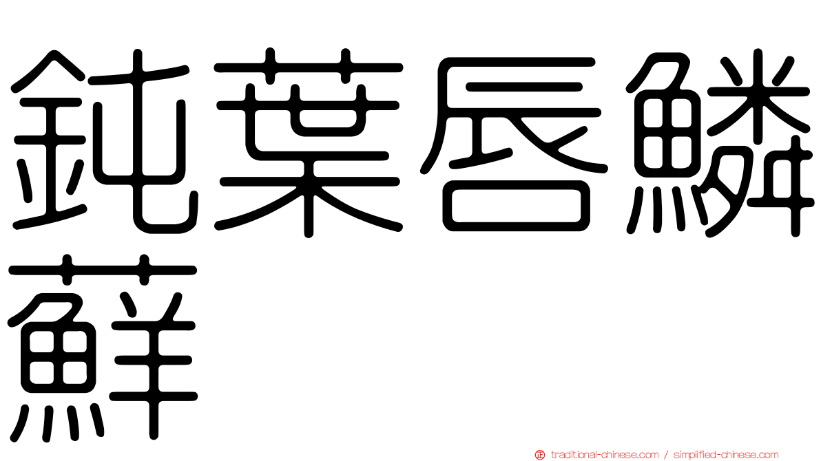 鈍葉唇鱗蘚