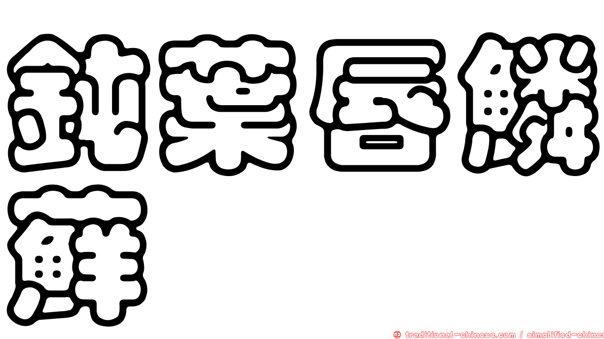 鈍葉唇鱗蘚