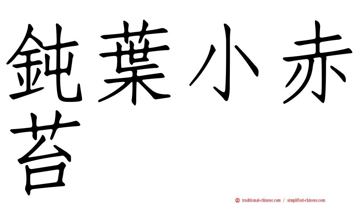 鈍葉小赤苔
