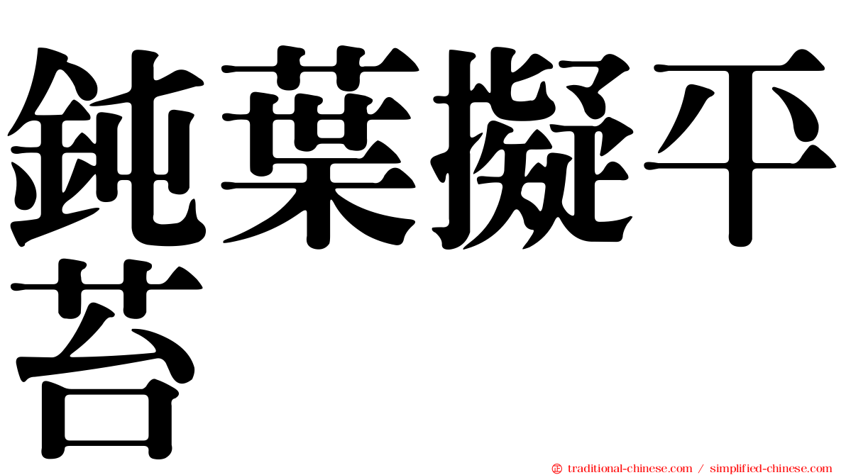 鈍葉擬平苔