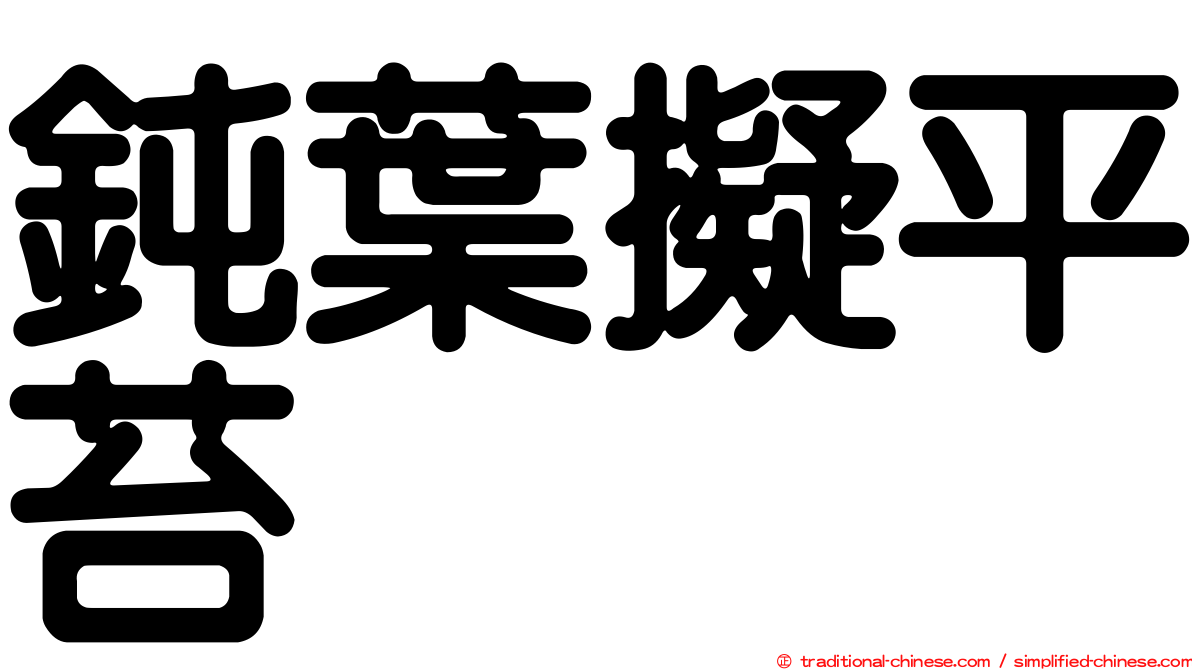 鈍葉擬平苔
