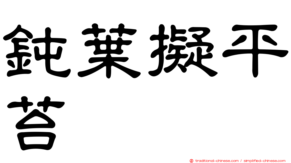 鈍葉擬平苔