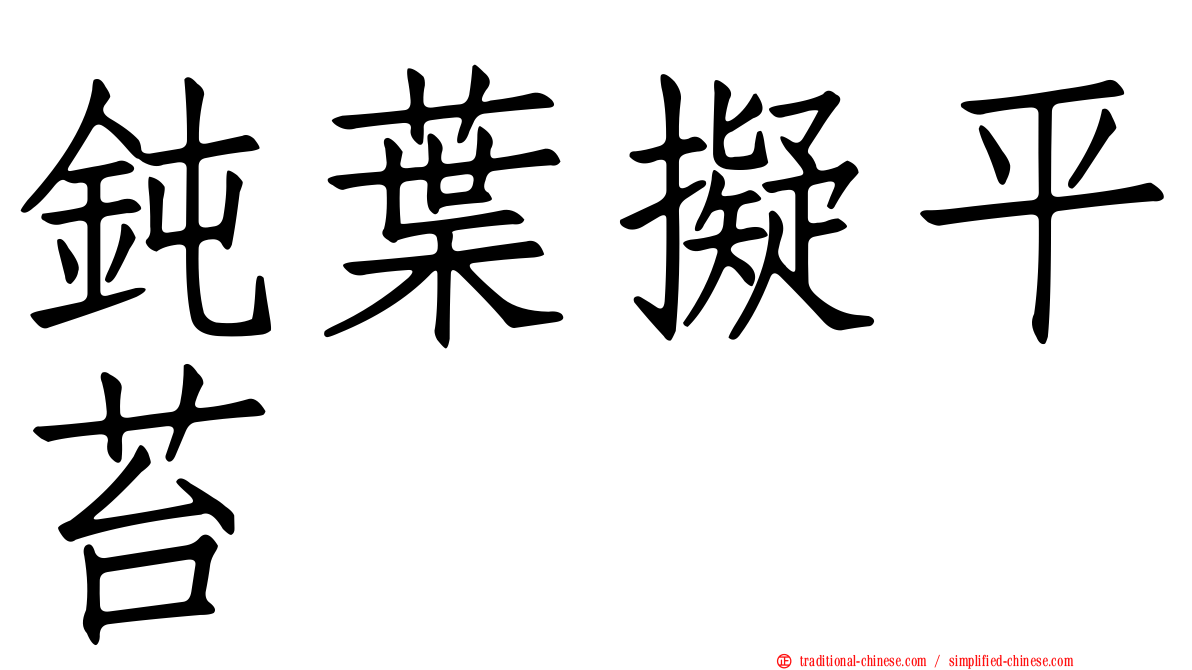 鈍葉擬平苔
