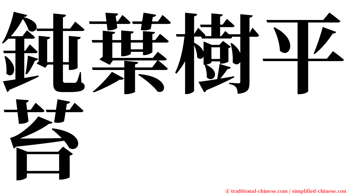鈍葉樹平苔 serif font