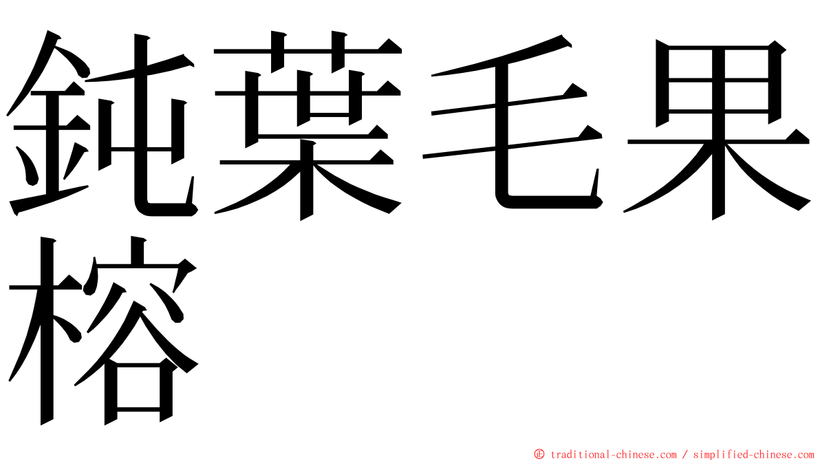 鈍葉毛果榕 ming font